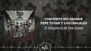 Conjunto Río Grande x Pepe Tovar y Los Chacales  El Desprecio de una Dama 2024 [upl. by Fawne335]