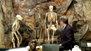 What DNA Says About Our Human Family Episode II Ancient Relatives Neanderthals and Denisovans [upl. by Tichon]