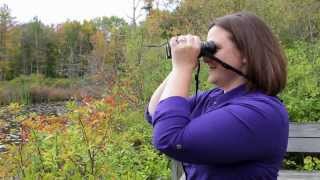 How to get crystal clear focus with your binoculars [upl. by Damian]