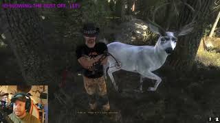 Albino Mule deer NO its Dilute  Thanks Treekiwi for 500Rare EMSPart2 [upl. by Abra]