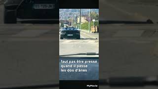 une voiture de sport de luxe passant les dos dânes [upl. by Fernande]