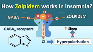 How Zolpidem works in Insomnia [upl. by Darsey]