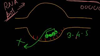 What is Abortive initiation transcription molecular biology biology gate csir concept 🔥🤓😎💯 [upl. by Aratehs490]