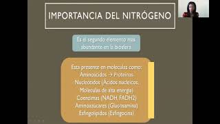 Morfofisiología I  Metabolismo de Aminoácidos 14 [upl. by Legim]