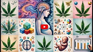 Impact of Prenatal Cannabis Use on Child Development and Aggression [upl. by Bourke]