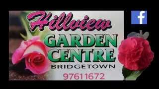 Hillview Garden Centre amp Nursery Bridgetown WA [upl. by Eilzel553]