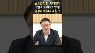 비명소리도 커져야지 앞으로 민주당도 상식적인 정당이 되길ㅣ서정욱 쇼츠ㅣ서정욱TV [upl. by Verene]