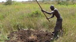 KITEGEZA KI OKULOOTO NGOLIMA DREAMING WHEN DIGGING [upl. by Forbes]