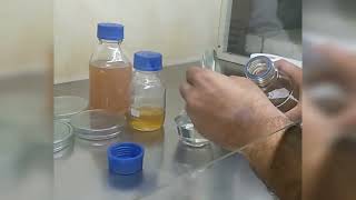 Inoculation Method  Procedure Of Inoculation Method [upl. by Euqinwahs]