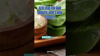 Aloe Vera for Hair Growth Here’s How to Use It 🌿✨ [upl. by Purdum]