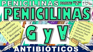 PENICILINA G BENZATÍNICA PROCAÍNICA SÓDICA Y PENICILINA V  GuiaMed [upl. by Manella65]