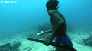 ‪Superhuman Filipino diver from the Badjao tribe BBC [upl. by Moia]