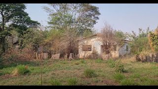 COLONIA COM VARIAS CASAS ABANDONADAS LOCAL DIFERENCIADO [upl. by Kotz129]