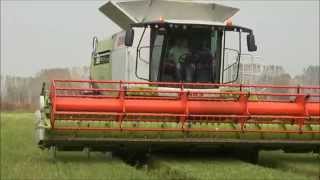 CLAAS In Campo  LEXION 770 TT R Rossi [upl. by Nauq844]