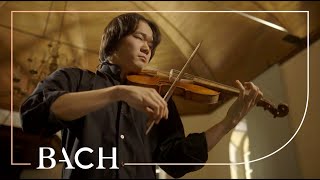 Bach  Violin Partita no 2 in D minor BWV 1004  Sato  Netherlands Bach Society [upl. by Agamemnon]