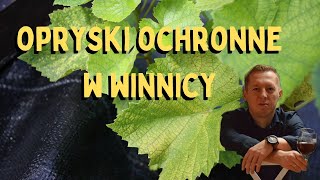 Oprysk ochronny winogron [upl. by Aralc]