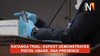 Katanga trial Expert demonstrates pistol usage DNA presence [upl. by Ingold774]