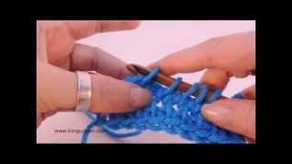 Tunisian Crochet Work 2 Stitches Together [upl. by Suravart]