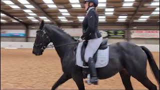 Novice 1  New British Dressage Test  64 [upl. by Trella]