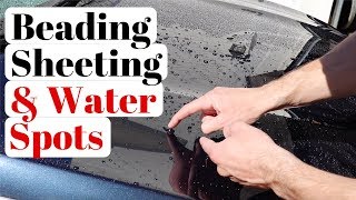 Water Beading vs Water Sheeting  What is it amp Which Is Better [upl. by Florenza]