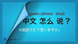 中国語 入門講座初級  基本フレーズ70 57 質問する [upl. by Rollie]