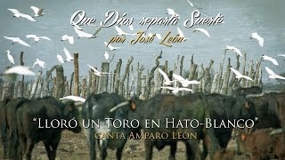 José León  quotLloró un Toro en HatoBlancoquot Que Dios reparta Suerte  Sevillanas  Flamenco [upl. by Sobmalarah]