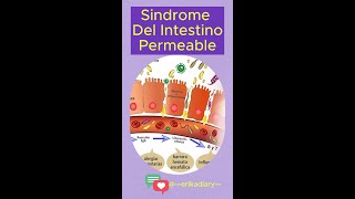 Síndrome del intestino permeable [upl. by Thornton]