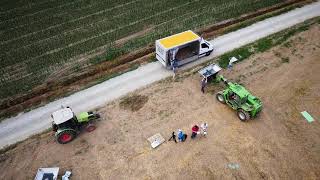 COSMO SPANDICONCIME e MERLO FARMER VIDEO SHOOTING DAY [upl. by Biamonte]