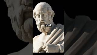 The Tripartite Soul – Reason Spirit and Desire [upl. by Manheim]