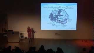 TEDxMerseyside  Dr Chris Shea  The Secrets of Non Verbal Communication [upl. by Aytida34]