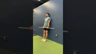 Dowel Shoulder Flexion Test [upl. by Ademla]