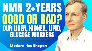 NMN 2 Years Good Or Bad Our Liver Kidney Lipid amp Glucose Markers  Review By Modern Healthspan [upl. by Haran]