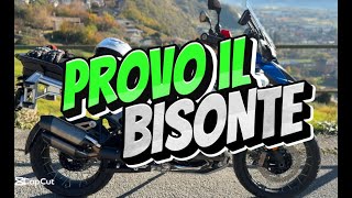 Provo il bisonte il GS 1300 ADV [upl. by Briny]