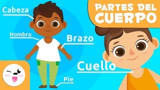 Las partes del cuerpo humano para niños  Vídeos educativos para niños [upl. by Ahseekan573]