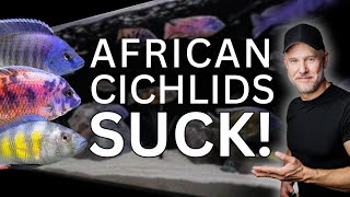 5 African Cichlid PROBLEMS  Are They WORTH IT [upl. by Shellans]