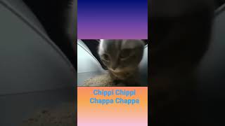 chippi chippi chappa chappa meme viral [upl. by Earas]