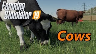 Farming Simulator 19 Tutorial  Cows [upl. by Aiduan]