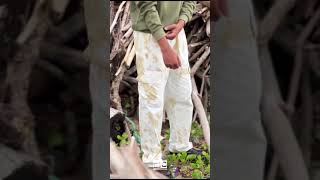 CARGO TRACK PRICE 1199 explore explorepage fashion 2k24 menswear outfit youtube cargo 911 [upl. by Yraccaz]