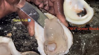 How to Open an Oyster without a shuck Shucking amp Grilling Oysters [upl. by Aikemaj]