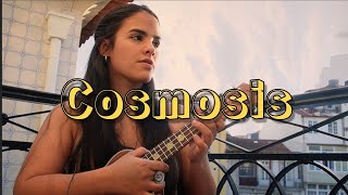 COSMOSIS  BRIELA OJEDA  COVER [upl. by Hoopes710]