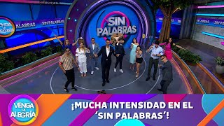 ¡Mucha intensidad en el ‘Sin Palabras’  Programa 4 abril 2024 PARTE 2  Venga La Alegría [upl. by Reizarf127]