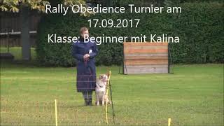 RO Turnier Beginner 96 Punkte [upl. by Enymzaj]