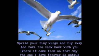 Anne Murray  Snowbird with lyrics [upl. by Ajram]