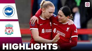 Liverpool vs Brighton  Highlights  FA Womens Super League 18022024 [upl. by Denman]