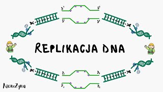 Genetyka Replikacja DNA [upl. by Creigh]