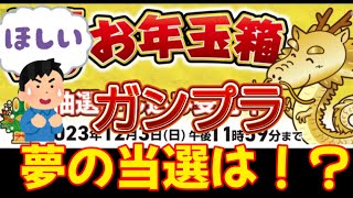 【お年玉箱当選結果！！】２０２４年 ヨドバシカメラ夢のお年玉箱抽選申し込んでみました。 [upl. by Taran567]