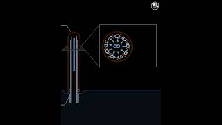 Structure of Motile Cilia  Animation  Quick Revision [upl. by Rianna]