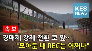 속보 quot태양광 REC 보조금 폐지 수순quot [upl. by Oba]