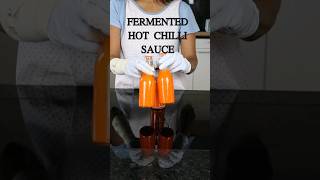 How to make Fermented Hot Chilli Sauce chilisauce [upl. by Arze663]