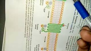 INTRODUCTION to ENDOCRINOLOGY ch 75 guyton fasr and easy review part 2 [upl. by Cormack876]